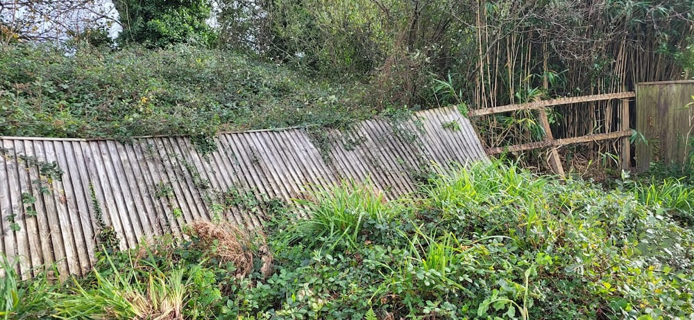 Before transformation